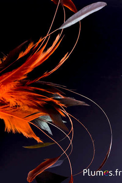 Gallo frusta Body Split - 23-28 cm - nero-arancione